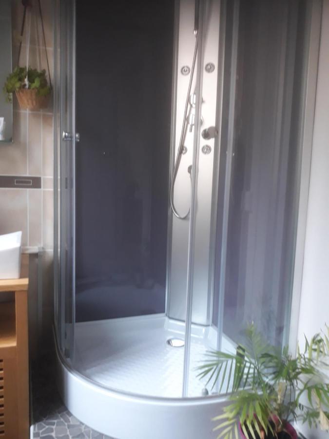 Appartement "Les Goumis" Baccarat Екстер'єр фото